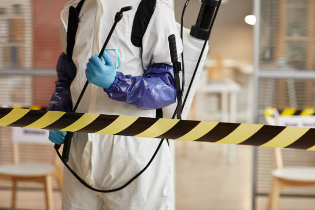 Professional Sewage Cleanup technician working in Dixon, KY